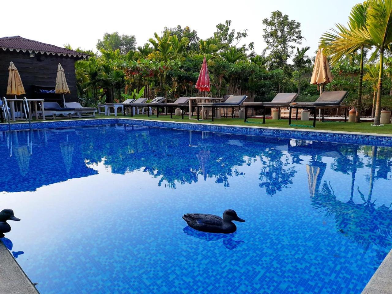 Go Green Spice & Eco Resort Cavelossim Eksteriør bilde